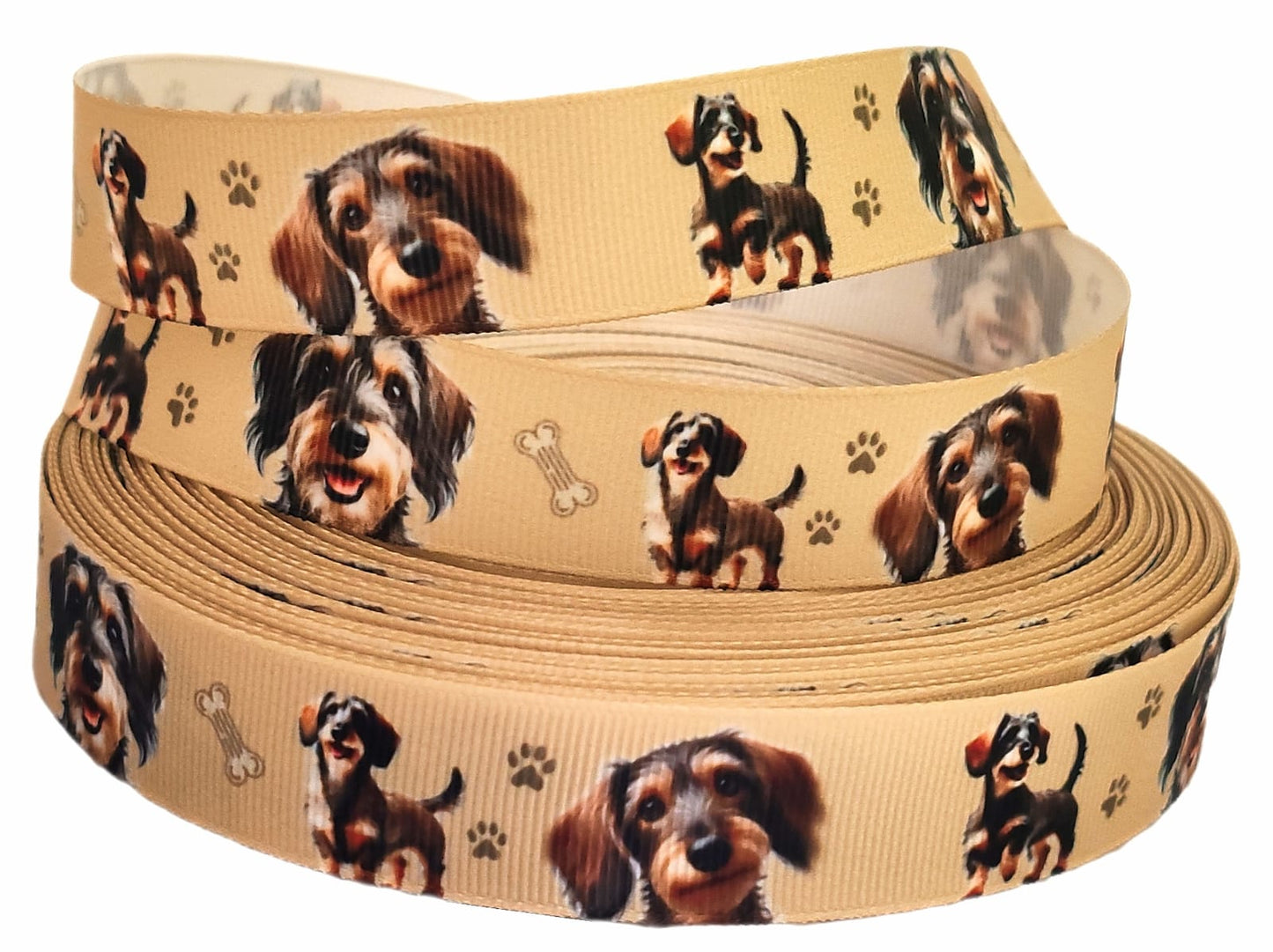 Deutscher Drahthaar Dackel & Pfoten – Exklusives bedrucktes Band 22mm