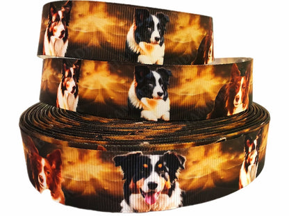 Border Collies im goldenem Glanz – Exklusives bedrucktes Band 25mm