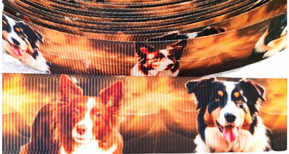 Border Collies im goldenem Glanz – Exklusives bedrucktes Band 25mm
