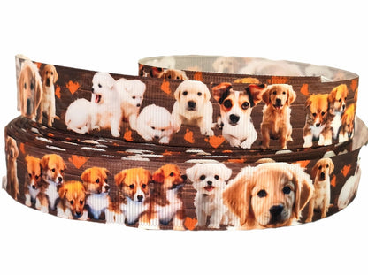 Süße Welpen auf Täfelung – Exklusives bedrucktes Band 22mm