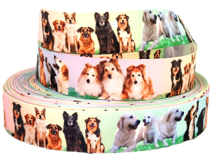 Hunde auf der Wiese – Exklusives bedrucktes Band 25mm