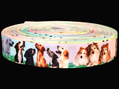 Hunde auf der Wiese – Exklusives bedrucktes Band 25mm