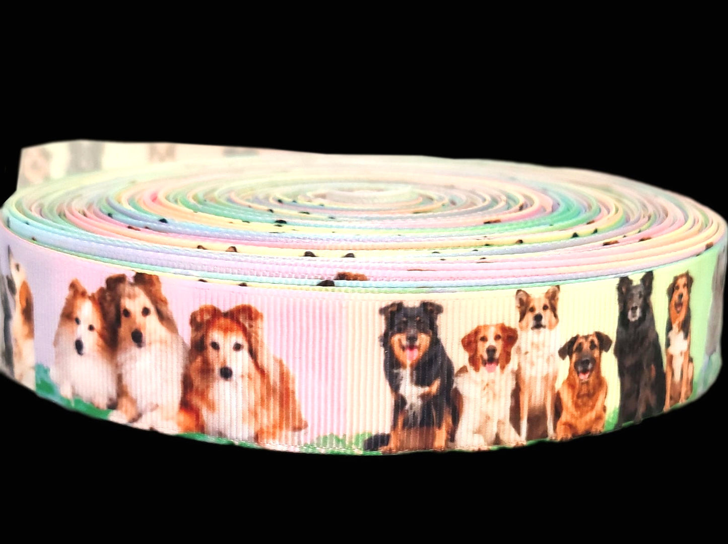 Hunde auf der Wiese – Exklusives bedrucktes Band 25mm