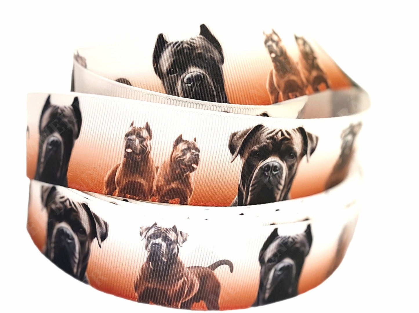 Cane Corso Eleganz – Exklusives bedrucktes Band 32mm