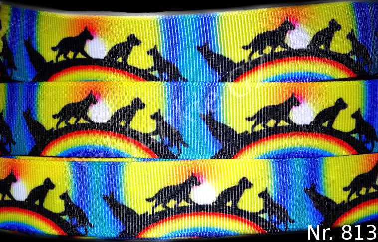 Exklusives  Regenbogenbrücke - Band – 22mm