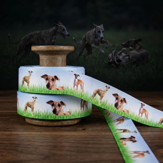 Windhund Ripsband – Whippets im Grünen (Himmelblau)