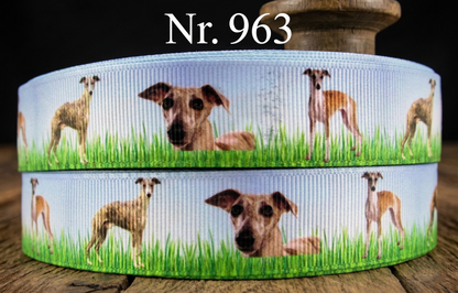 Windhund Ripsband – Whippets im Grünen (Himmelblau)