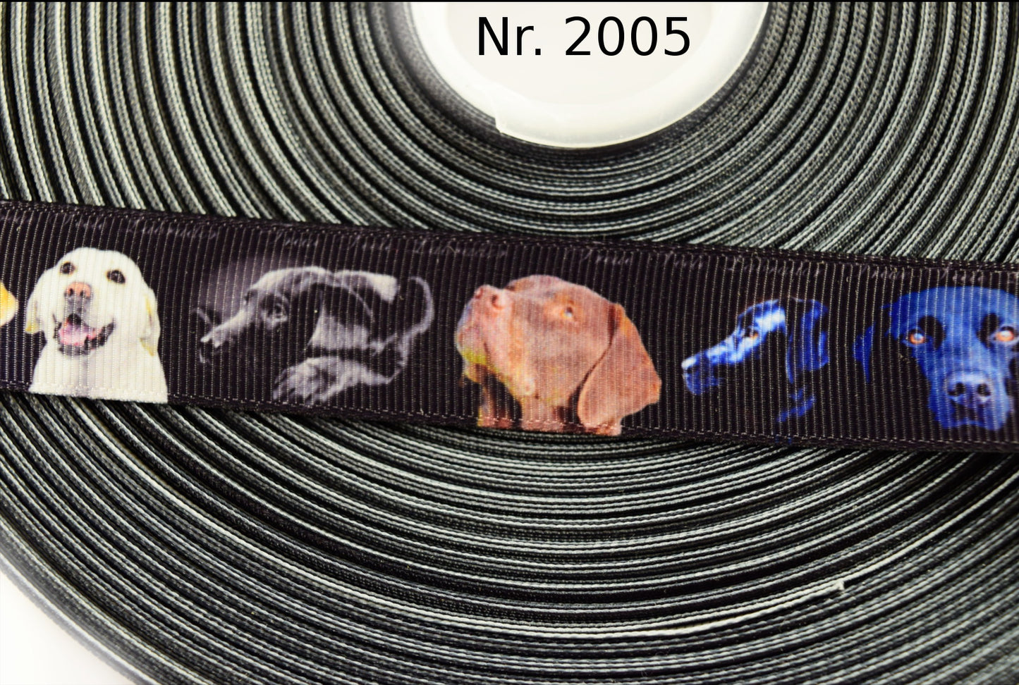 Exklusives  Labrador - Band – 22mm