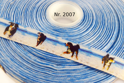 Exklusives  Appenzeller am Strand -Band – 22mm