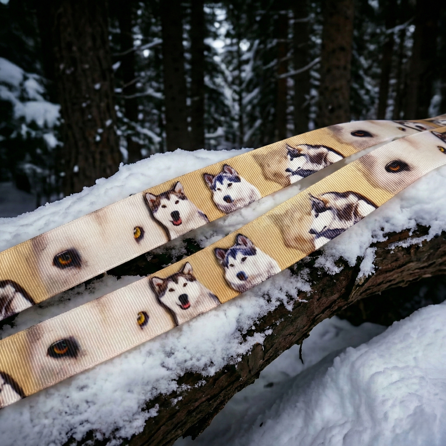 Exklusives  Husky - Band auf Beigem Hintergrund – 25mm