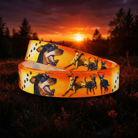 Exklusives  Pinscher im Sonnenuntergang - Band mit Pfoten – 22mm