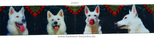 Exklusives  Weißer Schäferhund - Band mit Ornament - Rand – 25mm
