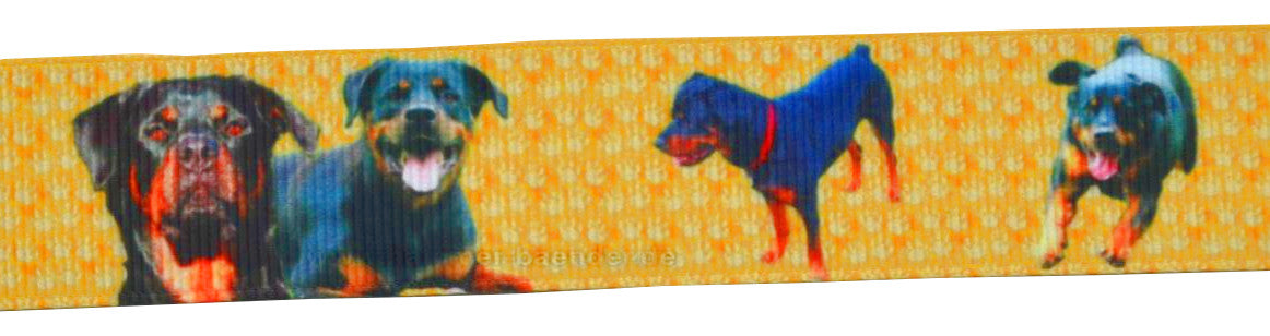 Exklusives  Rottweiler Pfotenspur - Band – 25mm