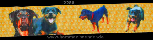 Exklusives  Rottweiler Pfotenspur - Band – 25mm