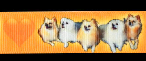 Exklusives  Kleine Hunderassen mit Herz - Band – 22mm