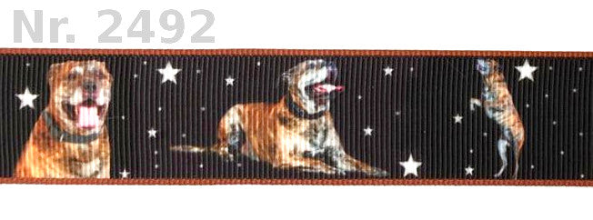 Exklusives  Pitbull mit Sternenhimmel - Band – 25mm