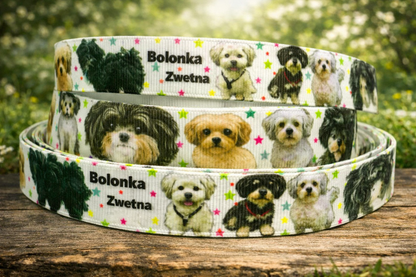 Exklusives  Bolonka Zwetna -Band mit bunten Sternchen – 19mm