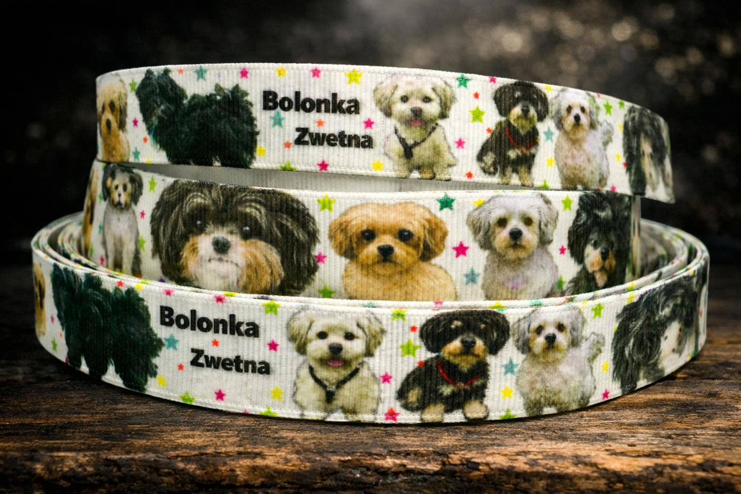 Exklusives  Bolonka Zwetna -Band mit bunten Sternchen – 19mm