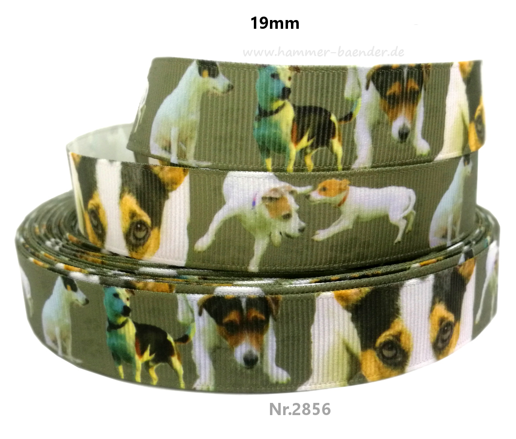 Jack Russell Terrier – 19mm