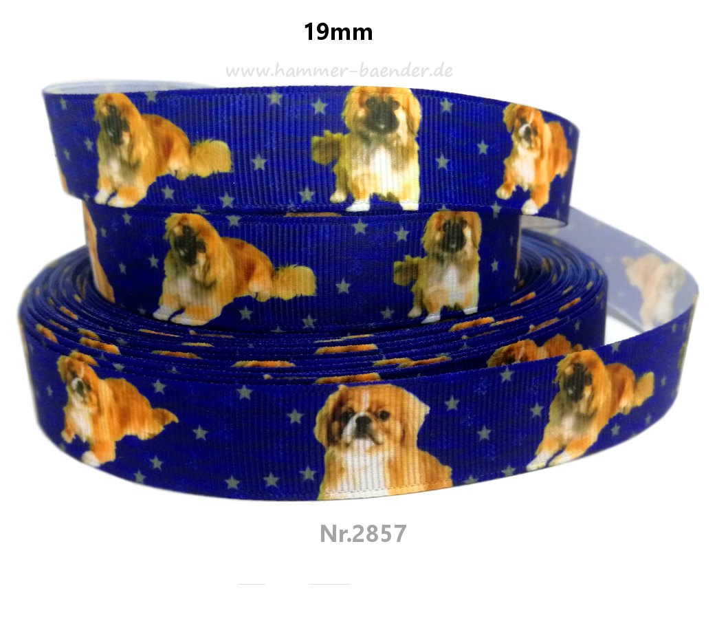 Exklusives  Pekinese - Band mit Sternenhimmel