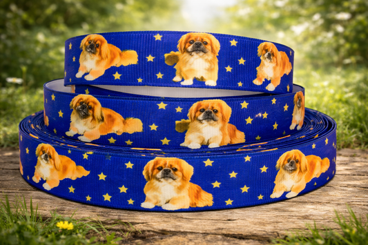 Exclusive Pekingese band with starry sky