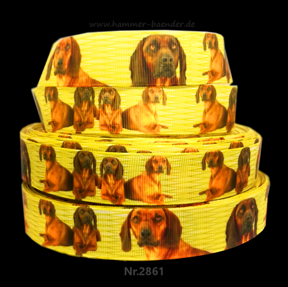 „Golden Noble – Exklusives Magyar Vizsla Ripsband für elegante Jagdhunde“ 22 mm
