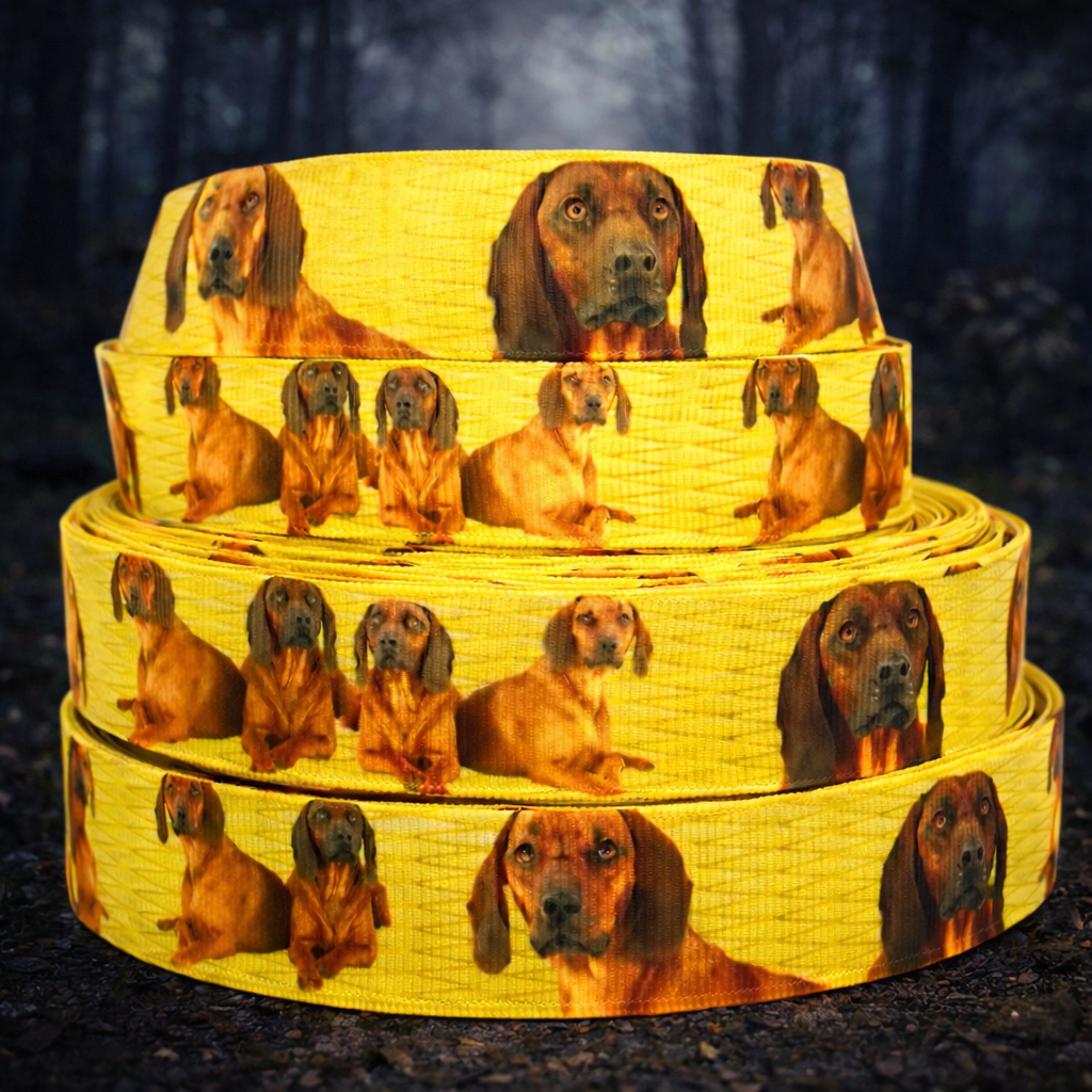 „Golden Noble – Exklusives Magyar Vizsla Ripsband für elegante Jagdhunde“ 22 mm