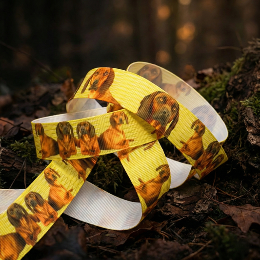 „Golden Noble – Exklusives Magyar Vizsla Ripsband für elegante Jagdhunde“ 22 mm