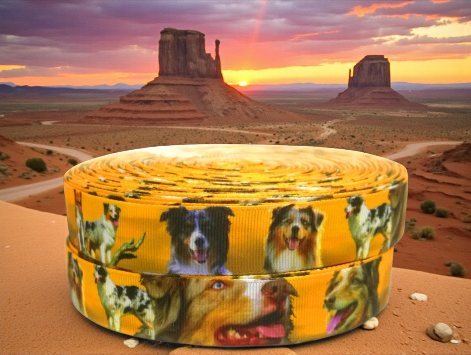Exklusives  Australian Shepherd -Band im Wüstenlook – 22mm