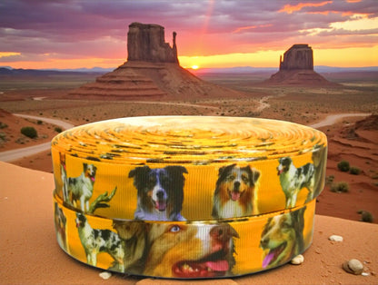 Exklusives  Australian Shepherd -Band im Wüstenlook – 22mm