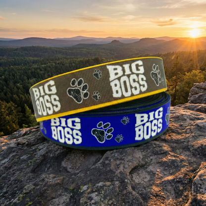 Exclusive Big Boss band with paw prints