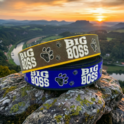 Exclusive Big Boss band with paw prints