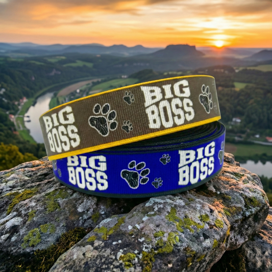 Exclusive Big Boss band with paw prints