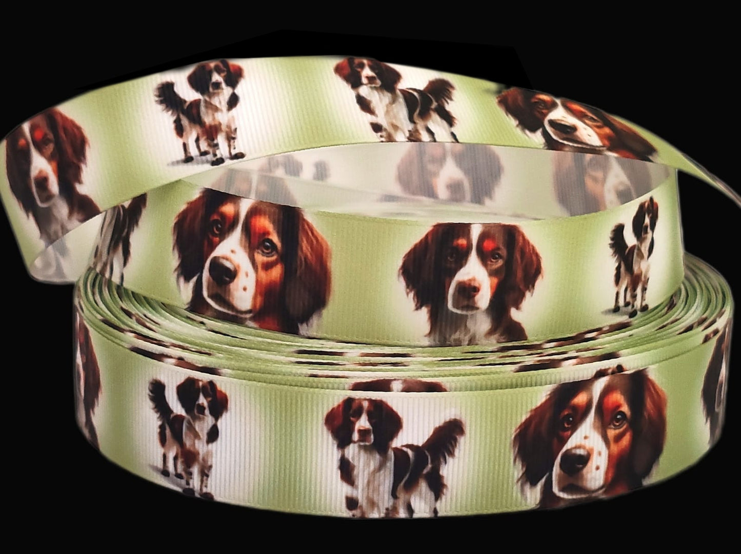 Münsterländer im Fokus – Exklusives bedrucktes Band 25mm