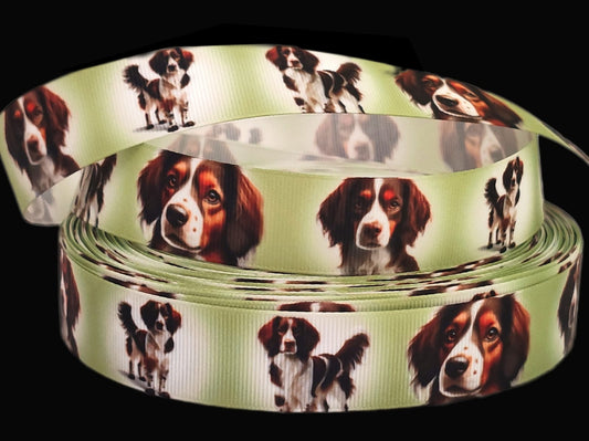 Münsterländer im Fokus – Exklusives bedrucktes Band 25mm