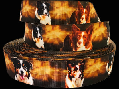 Border Collies im goldenem Glanz – Exklusives bedrucktes Band 25mm