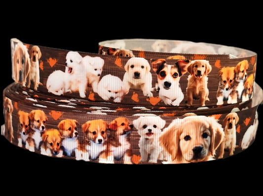 Süße Welpen auf Täfelung – Exklusives bedrucktes Band 22mm