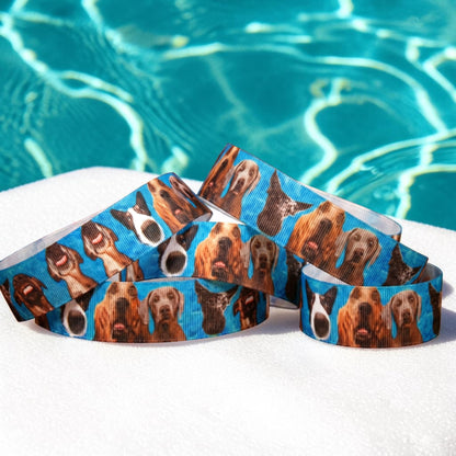 Exclusive Pool Party - Dogs - Band with Water - Background - 25mm