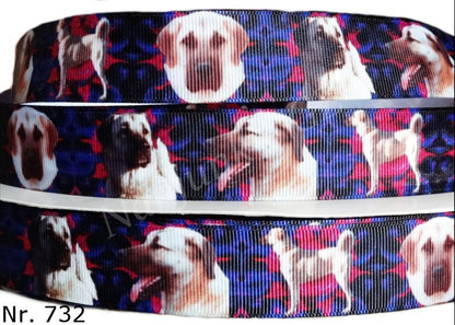 Exklusives  Kangal - Band im abstrakten Blau - Lila - Pink – 25mm