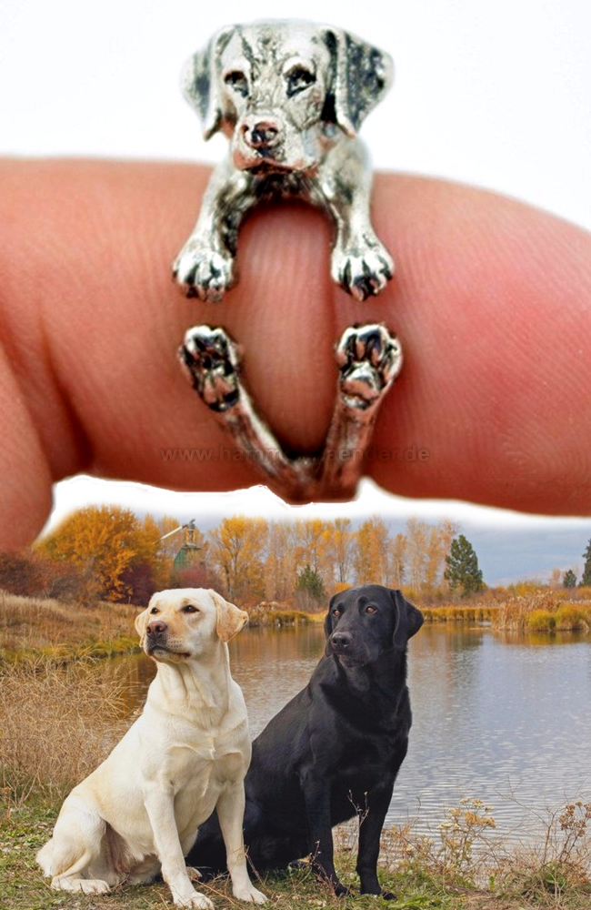 Labrador (Goldi) Ring mit Farbauswahl | Anpassbar & Edel