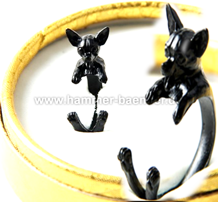 Chihuahua Ringe | Anpassbar & Edel & Farben
