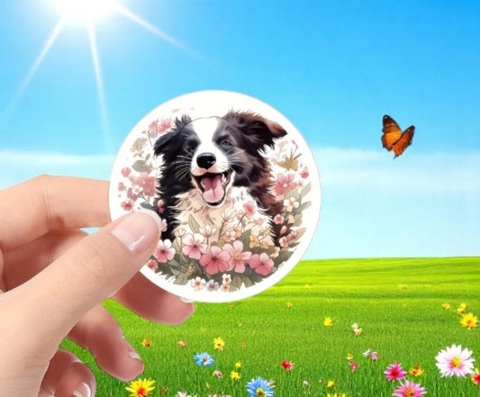 Border Collie-Sticker – Für flinke Köpfe und große Herzen