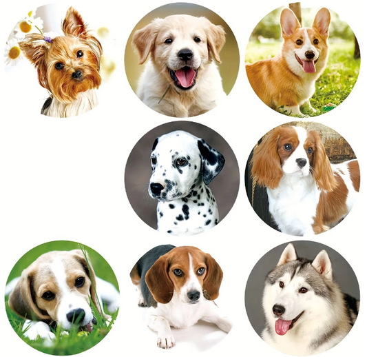 Hunde-Liebe zum Aufkleben – Realistische Foto-Sticker