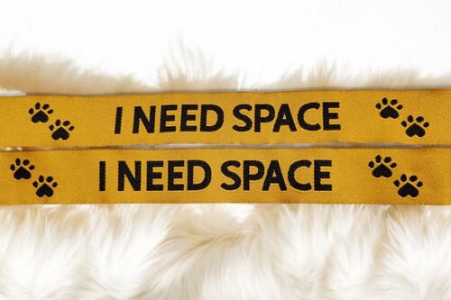 I Need Space – Webband für sensible Hunde in 22mm