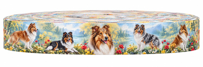 Collies-Ripsband 25 mm in Hellblau, Grün, Gelb, Rot, Braun, Schwarz und Weiß, Motivansicht auf weißem Hintergrund