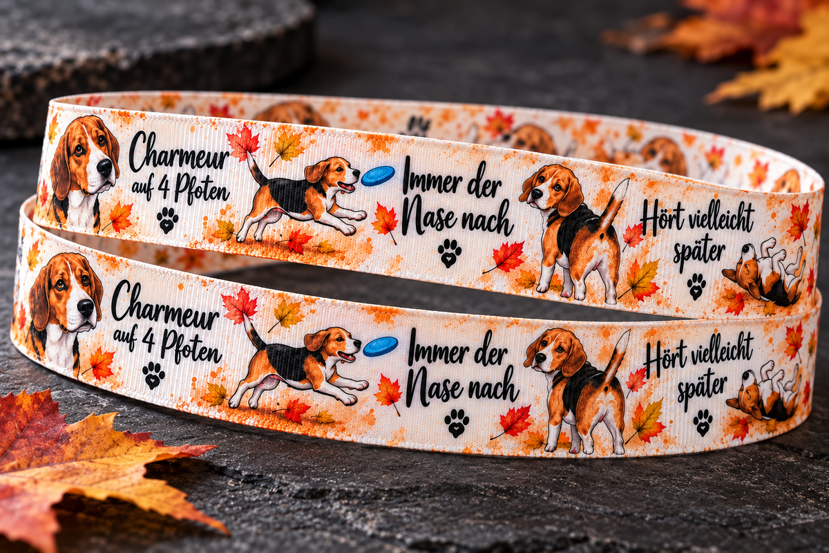 Beagle-Ripsband 22 mm in Creme, Orange, Braun, Schwarz und Weiß, gestaltetes Hauptbild