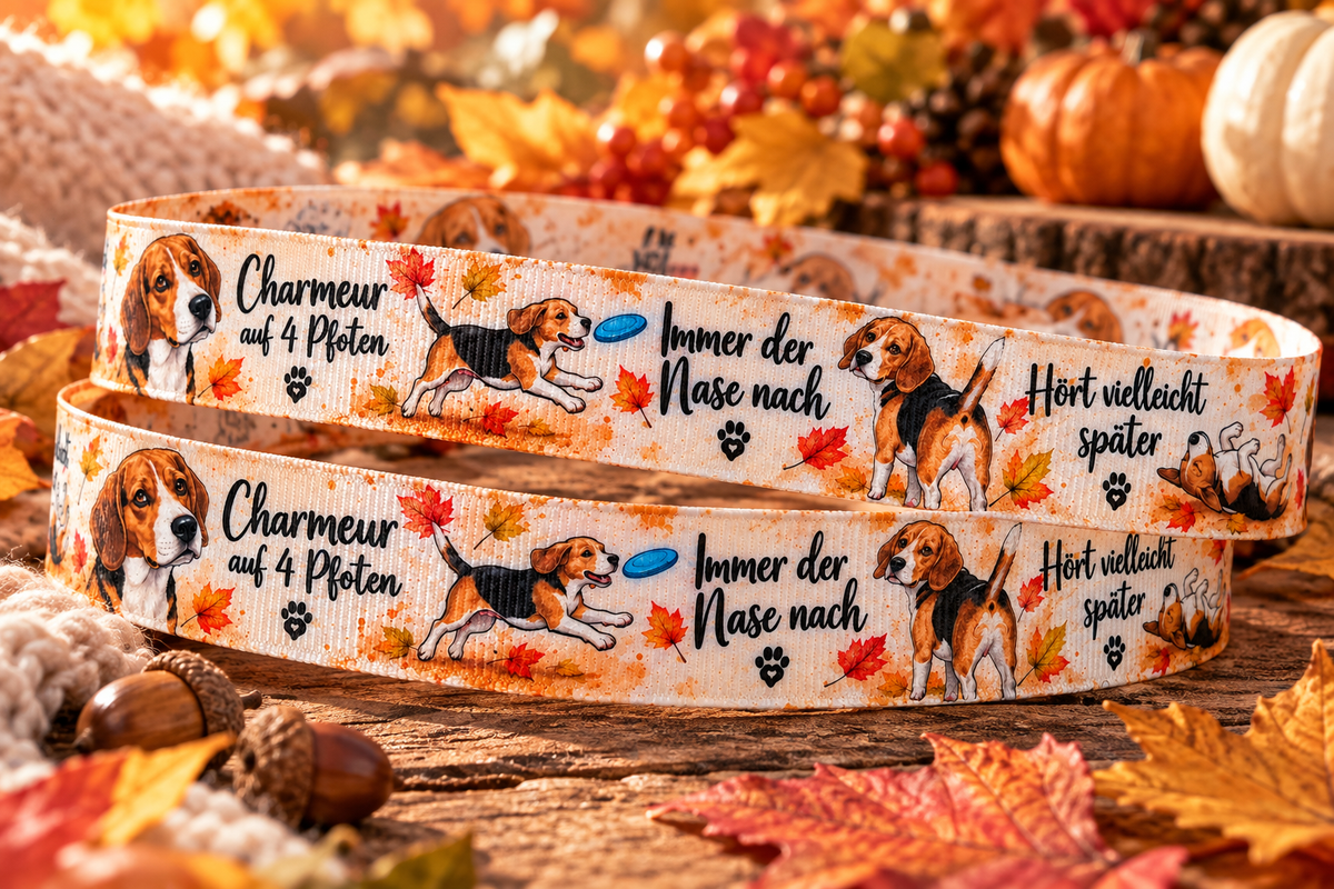 Beagle-Ripsband 22 mm in Creme, Orange, Braun, Schwarz und Weiß, zusätzliche dekorative Produktansicht
