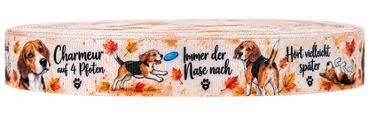 Beagle-Ripsband 22 mm in Creme, Orange, Braun, Schwarz und Weiß, Motivansicht auf weißem Hintergrund