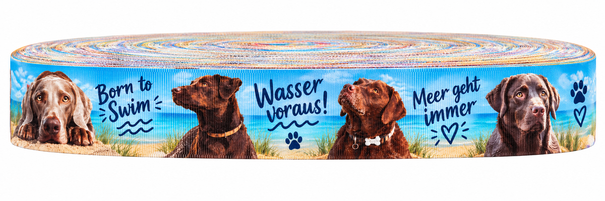 Labrador Meer-Ripsband 25 mm in Türkis, Blau, Sandfarben, Braun und Schwarz, Motivansicht auf weißem Hintergrund